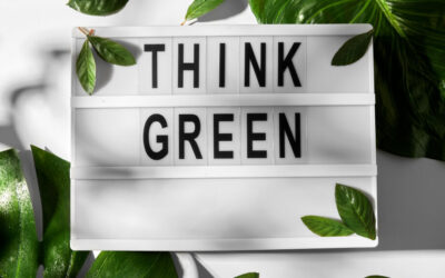 Green Last Mile – what is it and how does it affect T&L?